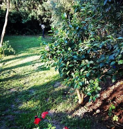 -Exclusive Private Villa- Villasimius Villasimius