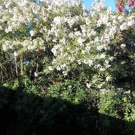 -Exclusive Private Villa- Villasimius