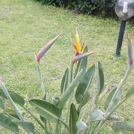 -exclusive Private Villa- Nyaraló *