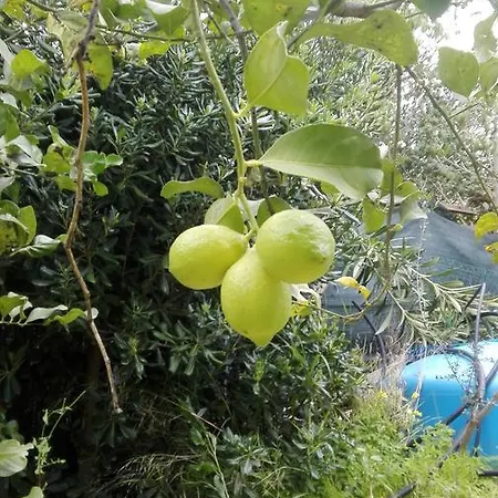 -exclusive Private Villa- Nyaraló Villasimius