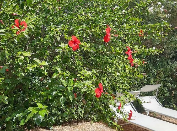 펜션 -exclusive Private Villa- *