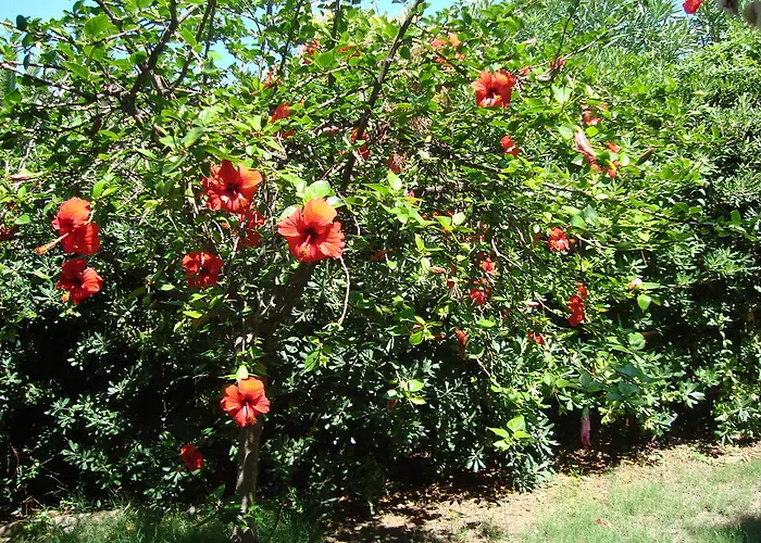 Tatil Evi -exclusive Private Villa-