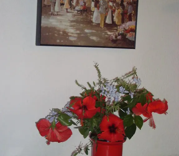 Tatil Evi -exclusive Private Villa- *