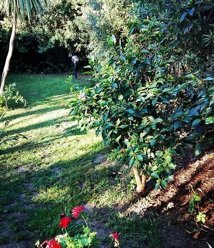 -exclusive Private Villa- Villasimius