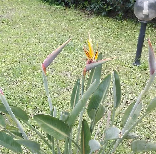 -exclusive Private Villa- 펜션 *