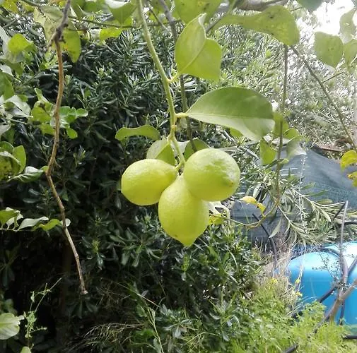 -exclusive Private Villa- Tatil Evi Villasimius