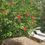 Holiday home -Exclusive Private Villa- Villasimius *