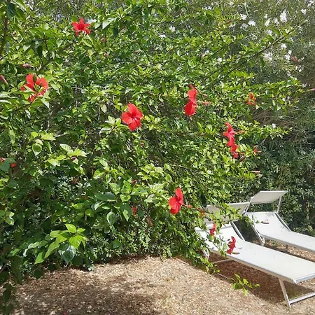 Holiday home -Exclusive Private Villa- Villasimius *