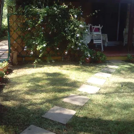 -exclusive Private Villa- בית נופש וילסימיוס