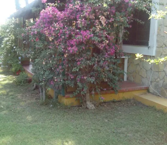 -Exclusive Private Villa- Villasimius Villasimius