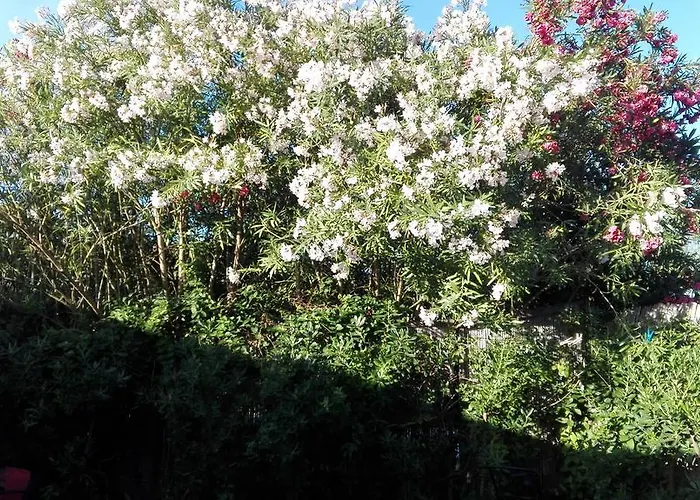 -Exclusive Private Villa- Villasimius